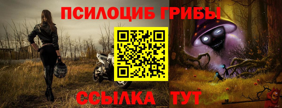 Псилоцибиновые грибы GOLDEN TEACHER Лысьва